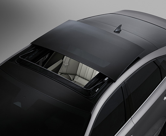 Panoramic Sunroof