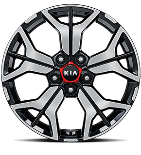 Alloy wheel</br>(B type)